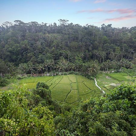 Black Penny Villas Ubud Eksteriør bilde