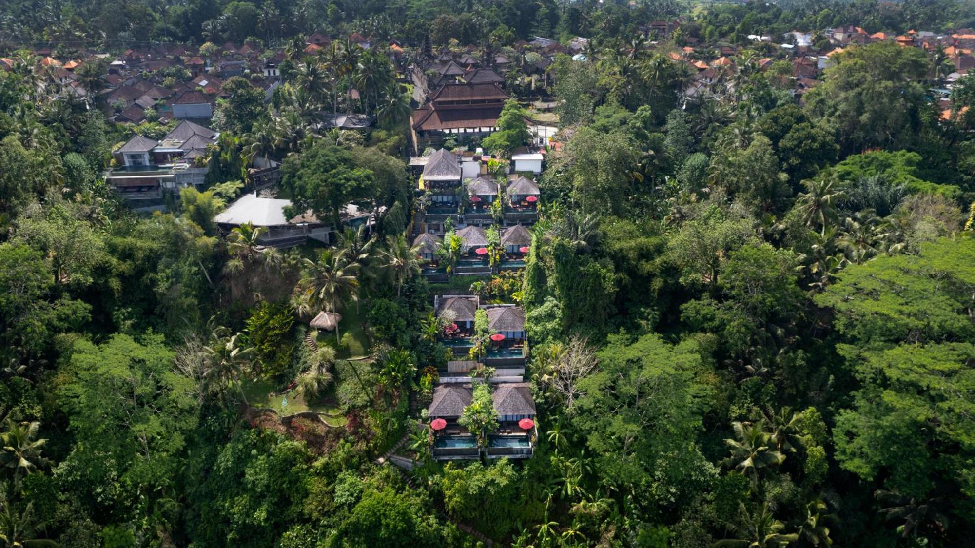 Black Penny Villas Ubud Eksteriør bilde